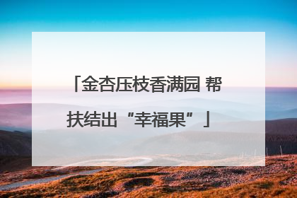 金杏压枝香满园 帮扶结出“幸福果”