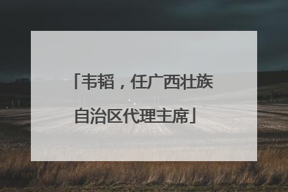 韦韬，任广西壮族自治区代理主席