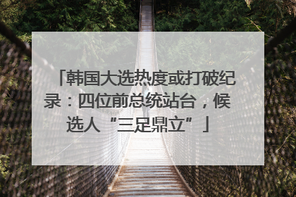 韩国大选热度或打破纪录：四位前总统站台，候选人“三足鼎立”