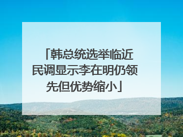 韩总统选举临近 民调显示李在明仍领先但优势缩小