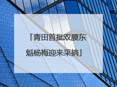 青田首批双膜东魁杨梅迎来采摘
