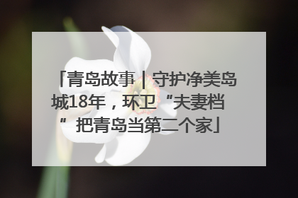 青岛故事｜守护净美岛城18年，环卫“夫妻档”把青岛当第二个家