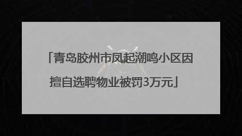 青岛胶州市凤起潮鸣小区因擅自选聘物业被罚3万元