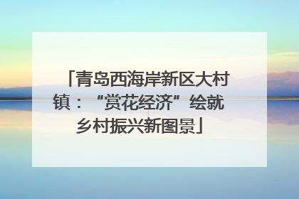 青岛西海岸新区大村镇：“赏花经济”绘就乡村振兴新图景
