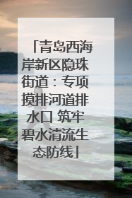 青岛西海岸新区隐珠街道：专项摸排河道排水口 筑牢碧水清流生态防线