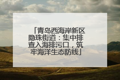 青岛西海岸新区隐珠街道：集中排查入海排污口，筑牢海洋生态防线