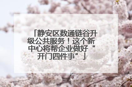 静安区数通链谷升级公共服务！这个新中心将帮企业做好“开门四件事”
