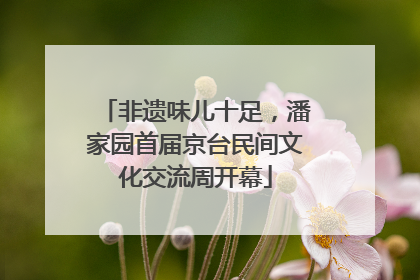 非遗味儿十足，潘家园首届京台民间文化交流周开幕