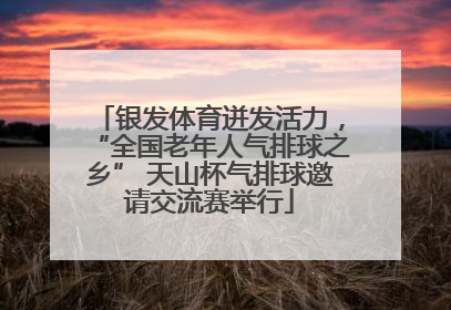 银发体育迸发活力，“全国老年人气排球之乡” 天山杯气排球邀请交流赛举行