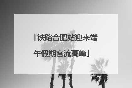 铁路合肥站迎来端午假期客流高峰