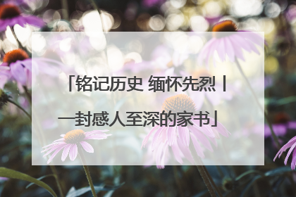 铭记历史 缅怀先烈丨一封感人至深的家书