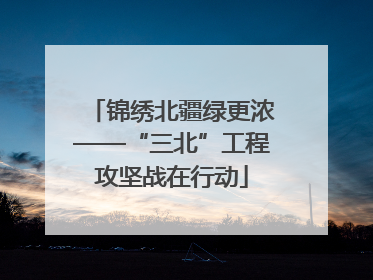 锦绣北疆绿更浓——“三北”工程攻坚战在行动