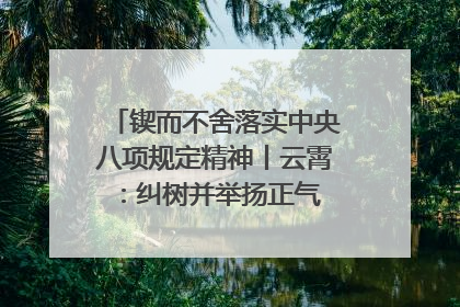 锲而不舍落实中央八项规定精神丨云霄：纠树并举扬正气 作风建设谱新章