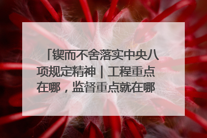 锲而不舍落实中央八项规定精神｜工程重点在哪，监督重点就在哪——广西深化政治监督护航平陆运河建设