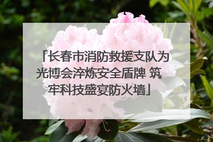 长春市消防救援支队为光博会淬炼安全盾牌 筑牢科技盛宴防火墙
