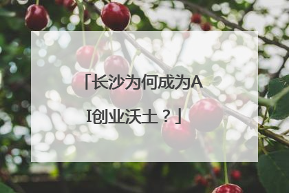 长沙为何成为AI创业沃土？