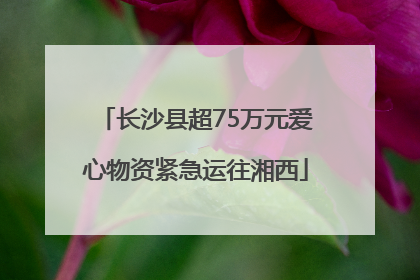 长沙县超75万元爱心物资紧急运往湘西