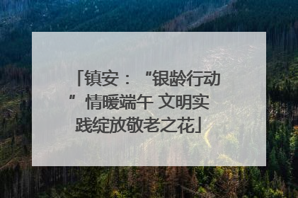 镇安：“银龄行动”情暖端午 文明实践绽放敬老之花