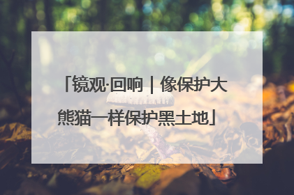 镜观·回响｜像保护大熊猫一样保护黑土地
