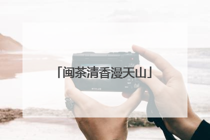 闽茶清香漫天山