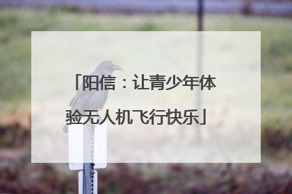 阳信：让青少年体验无人机飞行快乐