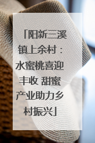 阳新三溪镇上余村：水蜜桃喜迎丰收 甜蜜产业助力乡村振兴