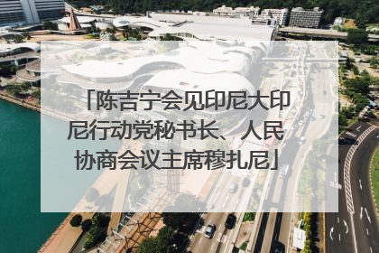 陈吉宁会见印尼大印尼行动党秘书长、人民协商会议主席穆扎尼