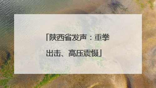 陕西省发声：重拳出击、高压震慑