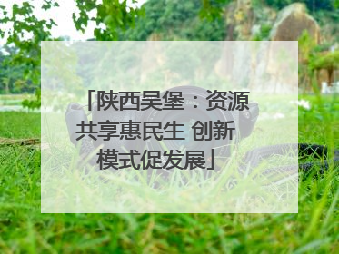 陕西吴堡：资源共享惠民生 创新模式促发展
