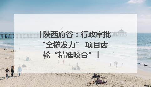 陕西府谷：行政审批“全链发力” 项目齿轮“精准咬合”