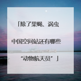 除了果蝇、涡虫 中国空间站还有哪些“动物航天员”