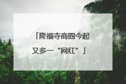 隆福寺商圈今起又多一“网红”
