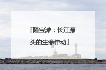 隆宝滩：长江源头的生命律动