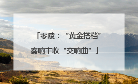 零陵：“黄金搭档”奏响丰收“交响曲”