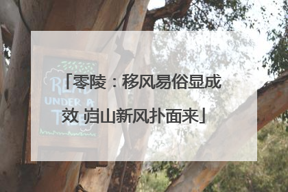 零陵：移风易俗显成效 岿山新风扑面来