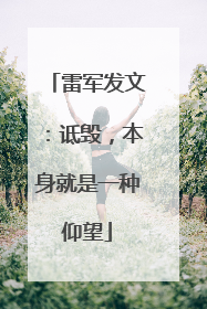 雷军发文：诋毁，本身就是一种仰望