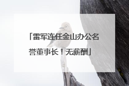 雷军连任金山办公名誉董事长！无薪酬