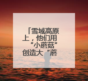 雪域高原上，他们用“小蘑菇”创造大“蘑”力！