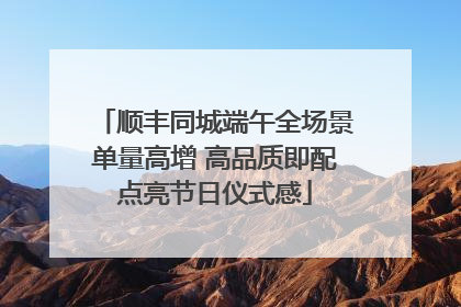 顺丰同城端午全场景单量高增 高品质即配点亮节日仪式感