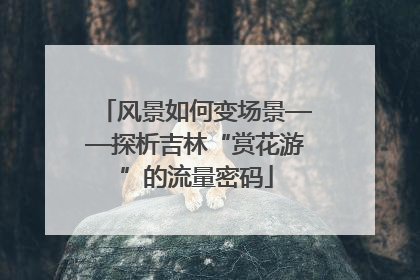 风景如何变场景——探析吉林“赏花游”的流量密码