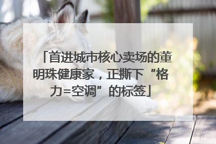 首进城市核心卖场的董明珠健康家，正撕下“格力=空调”的标签