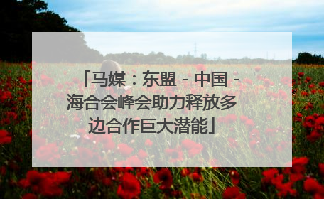 马媒：东盟－中国－海合会峰会助力释放多边合作巨大潜能
