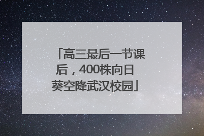 高三最后一节课后，400株向日葵空降武汉校园