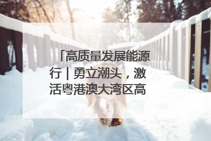 高质量发展能源行｜勇立潮头，激活粤港澳大湾区高质量发展动力源