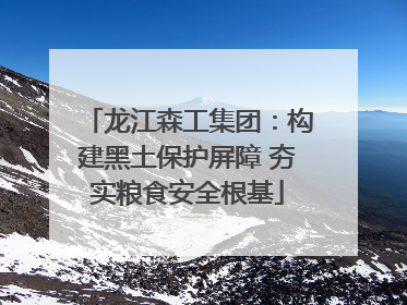 龙江森工集团：构建黑土保护屏障 夯实粮食安全根基