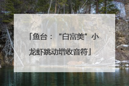 鱼台：“白富美”小龙虾跳动增收音符