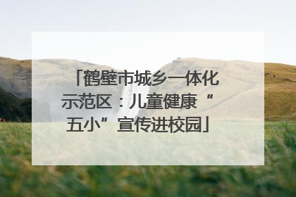 鹤壁市城乡一体化示范区：儿童健康“五小”宣传进校园