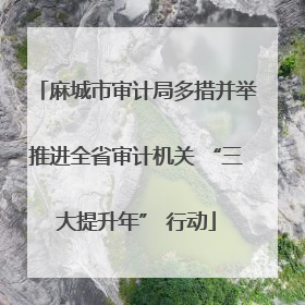 麻城市审计局多措并举推进全省审计机关 “三大提升年” 行动