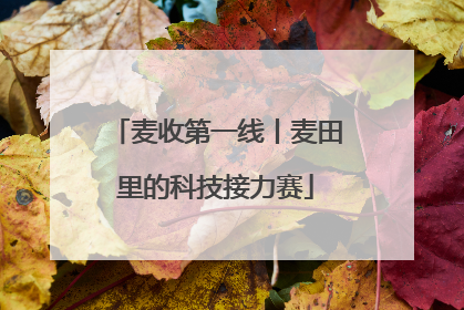 麦收第一线丨麦田里的科技接力赛