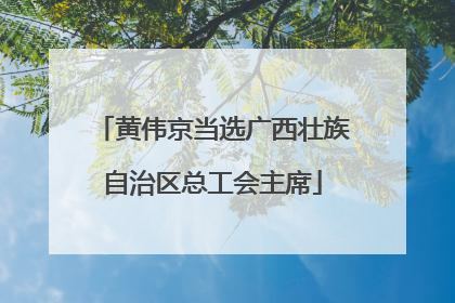 黄伟京当选广西壮族自治区总工会主席